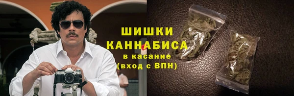 индика Бронницы