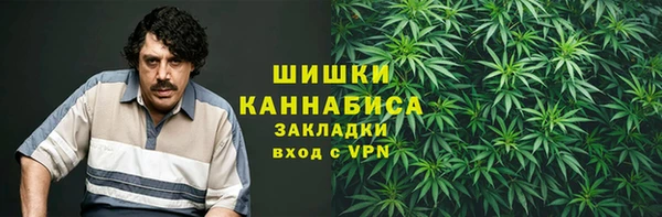 apvp Бородино