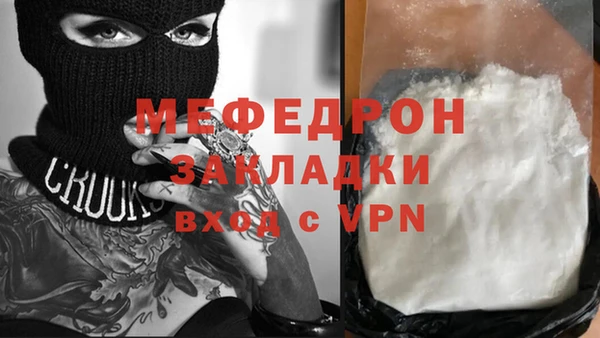 индика Бронницы