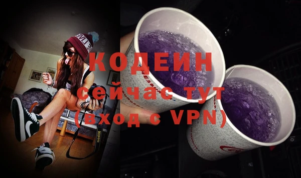 apvp Бородино