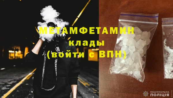 индика Бронницы