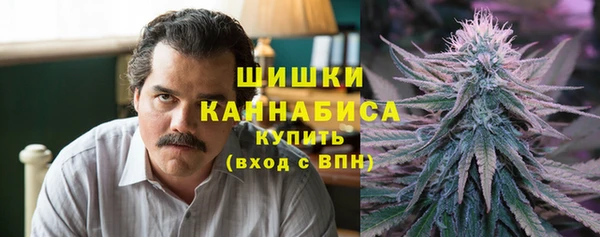 apvp Бородино