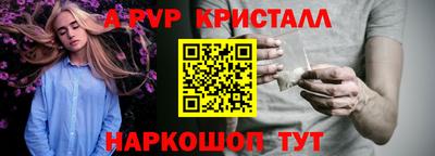 спиды Аргун