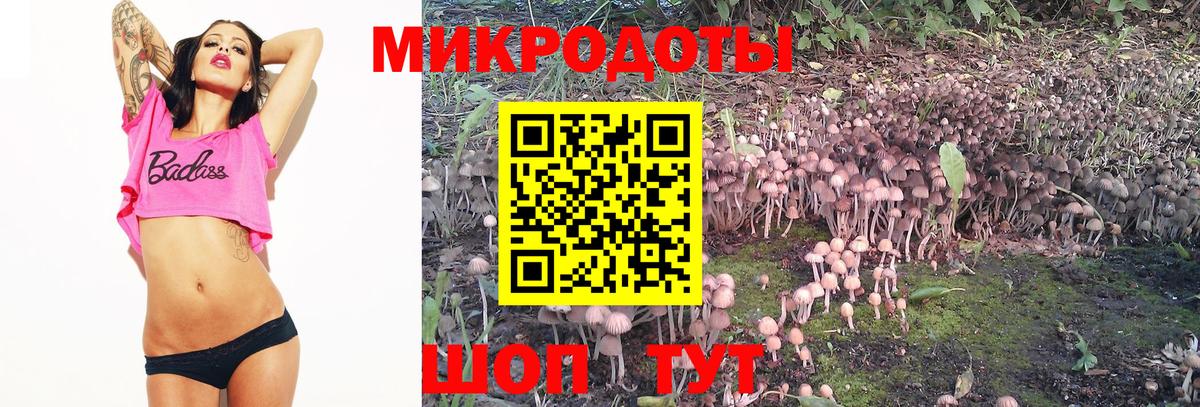 Псилоцибиновые грибы Magic Shrooms Видное