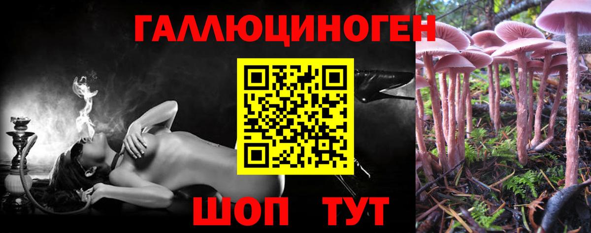 Псилоцибиновые грибы MAGIC MUSHROOMS  что такое наркотик  Галлюциногенные грибы GOLDEN TEACHER  Видное  Вход с VPN 
