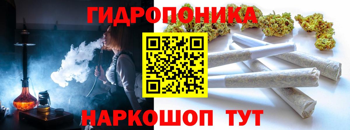 Бошки марихуана OG Kush  Бошки Шишки индика  Видное  Шишки марихуана VHQ 